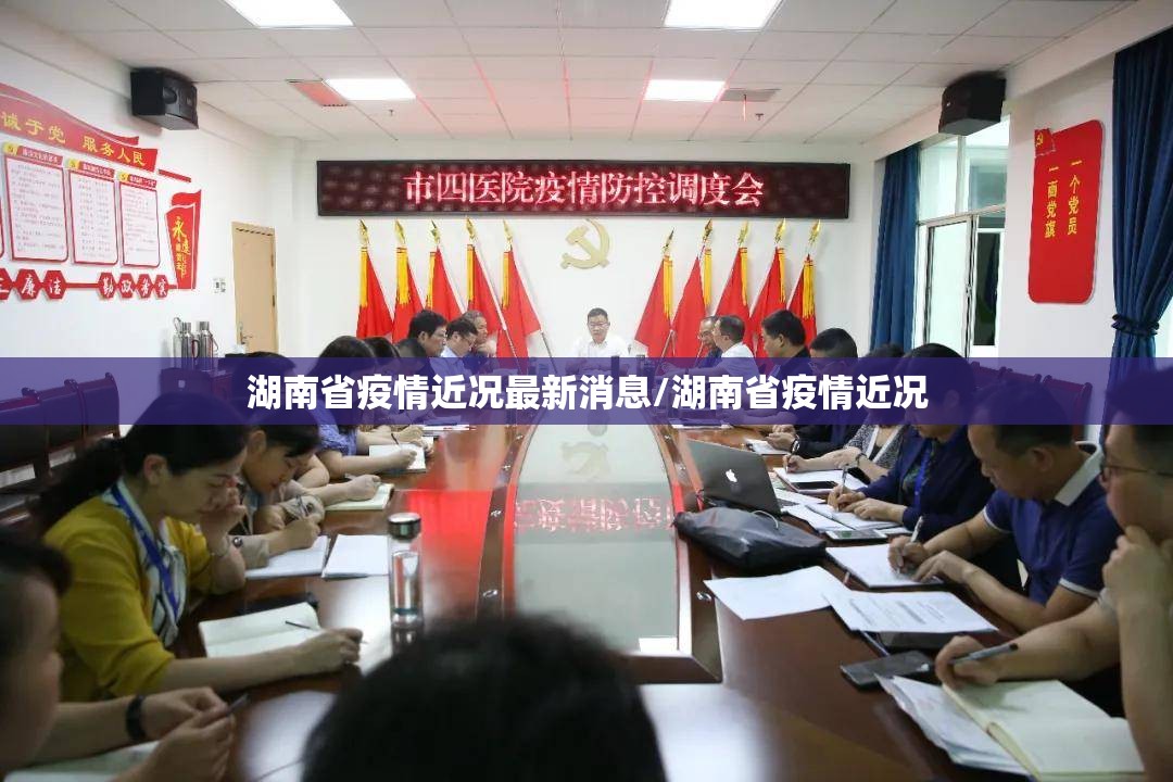 湖南省疫情近况最新消息/湖南省疫情近况