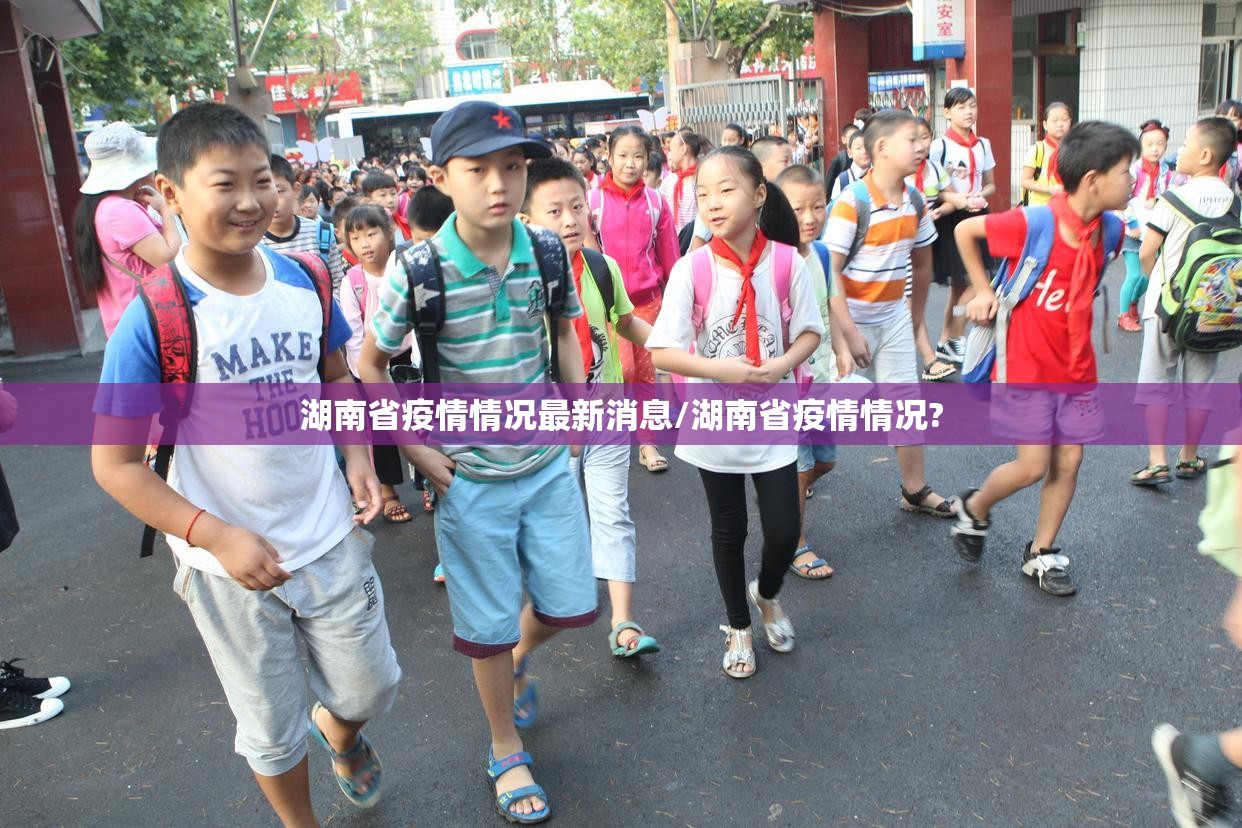 湖南省疫情情况最新消息/湖南省疫情情况?