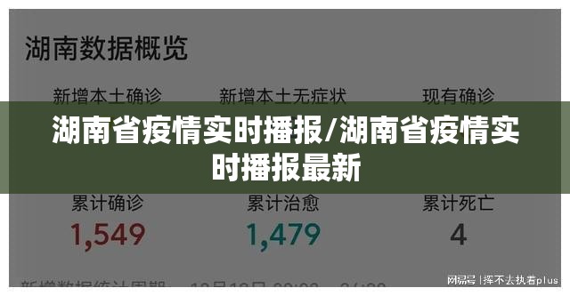 湖南省疫情实时播报/湖南省疫情实时播报最新