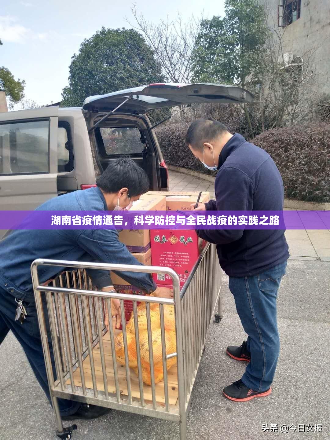 湖南省疫情通告，科学防控与全民战疫的实践之路