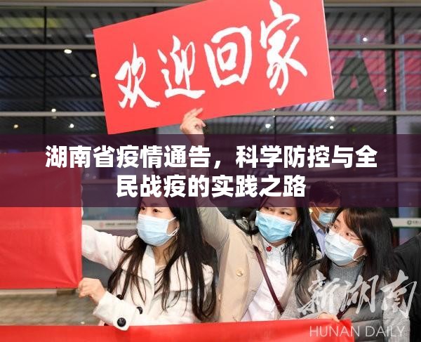湖南省疫情通告，科学防控与全民战疫的实践之路