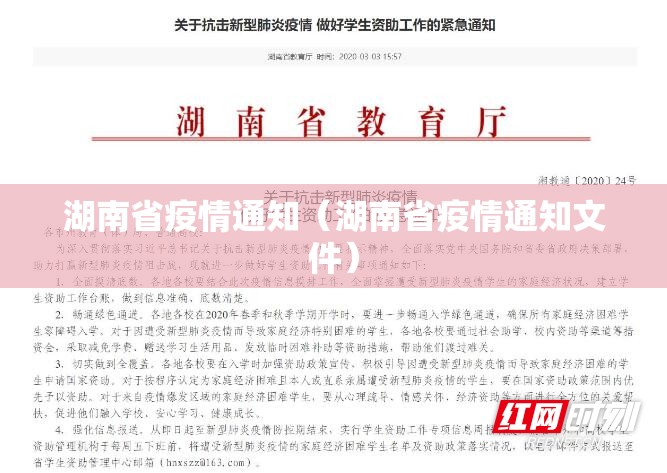 湖南省疫情通知（湖南省疫情通知文件）