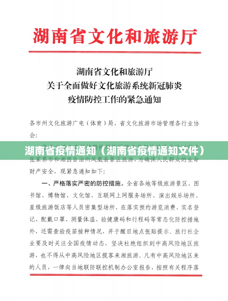 湖南省疫情通知（湖南省疫情通知文件）
