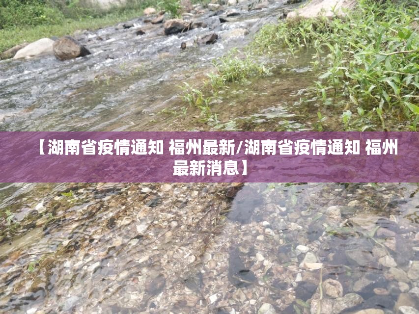 【湖南省疫情通知 福州最新/湖南省疫情通知 福州最新消息】