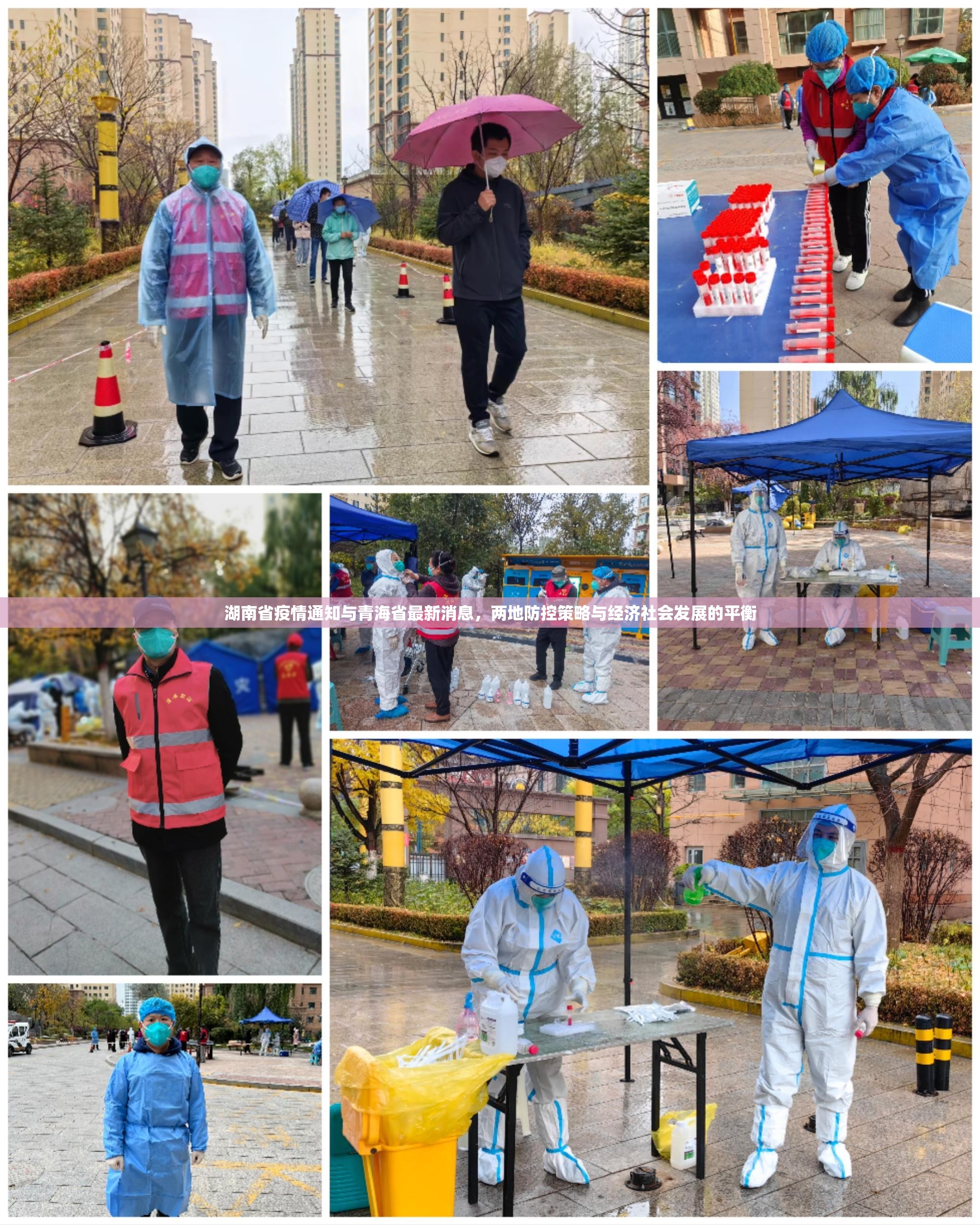 湖南省疫情通知与青海省最新消息，两地防控策略与经济社会发展的平衡