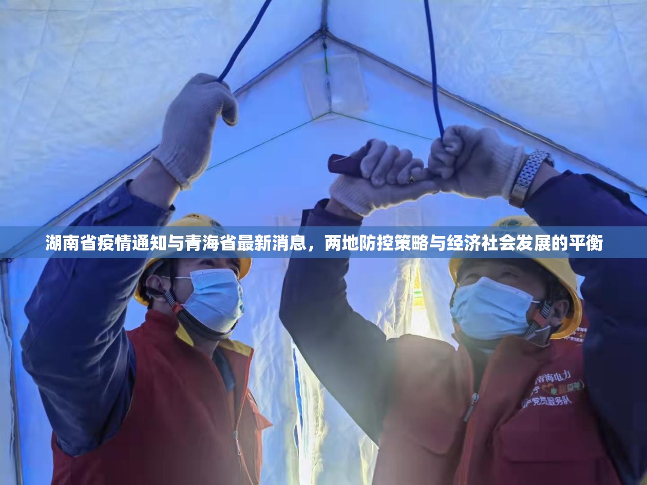 湖南省疫情通知与青海省最新消息，两地防控策略与经济社会发展的平衡