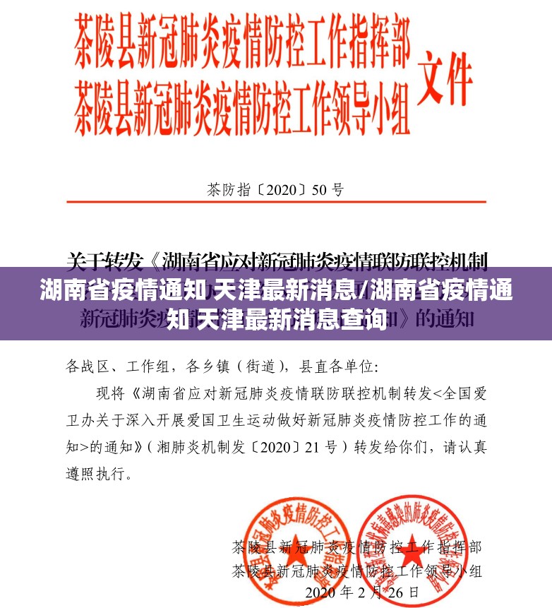 湖南省疫情通知 天津最新消息/湖南省疫情通知 天津最新消息查询