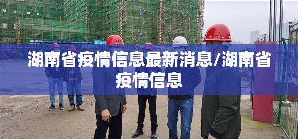 湖南省疫情信息最新消息/湖南省疫情信息