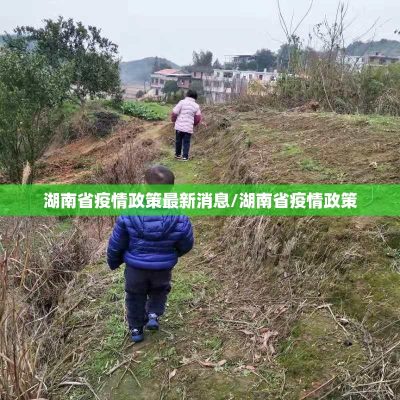 湖南省疫情政策最新消息/湖南省疫情政策