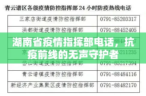 湖南省疫情指挥部电话，抗疫前线的无声守护者
