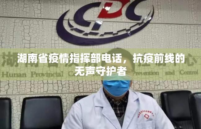 湖南省疫情指挥部电话，抗疫前线的无声守护者