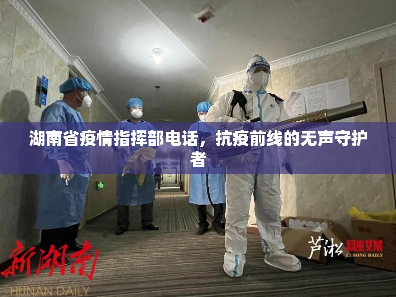 湖南省疫情指挥部电话，抗疫前线的无声守护者