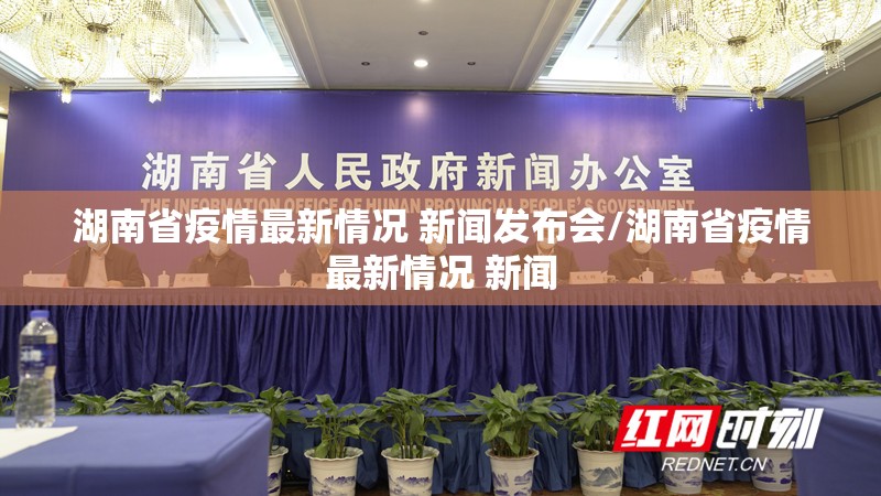 湖南省疫情最新情况 新闻发布会/湖南省疫情最新情况 新闻