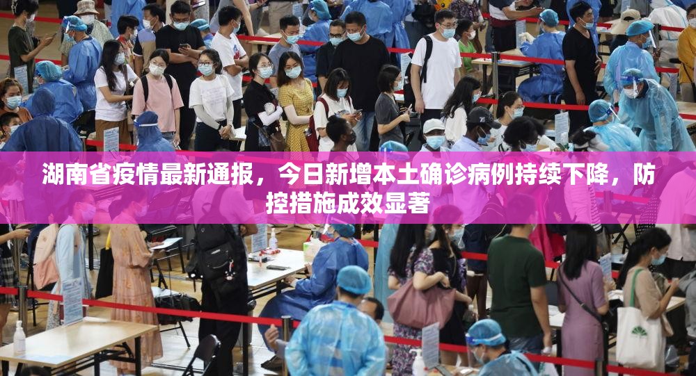 湖南省疫情最新通报，今日新增本土确诊病例持续下降，防控措施成效显著