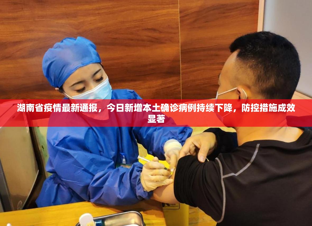 湖南省疫情最新通报，今日新增本土确诊病例持续下降，防控措施成效显著