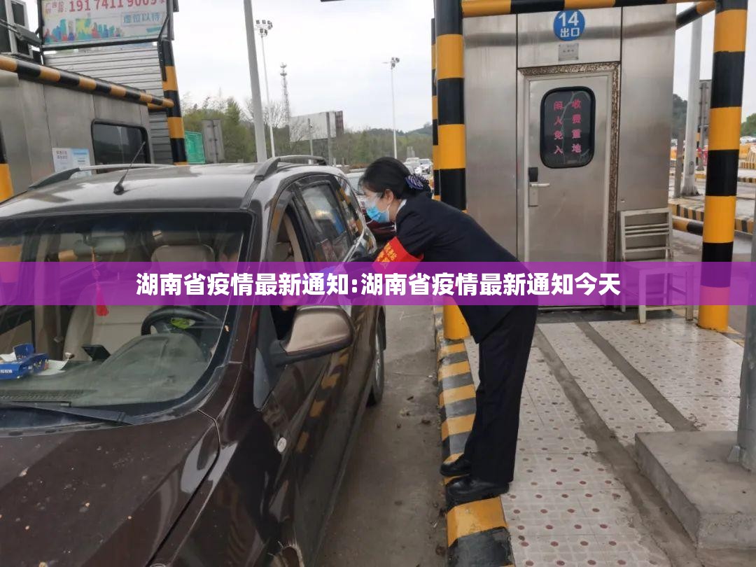 湖南省疫情最新通知:湖南省疫情最新通知今天