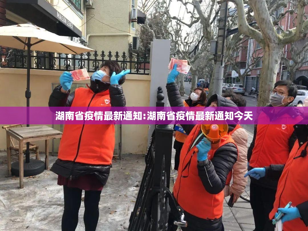 湖南省疫情最新通知:湖南省疫情最新通知今天
