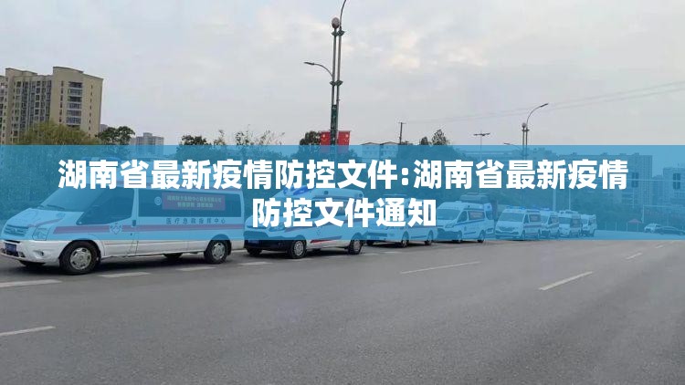 湖南省最新疫情防控文件:湖南省最新疫情防控文件通知