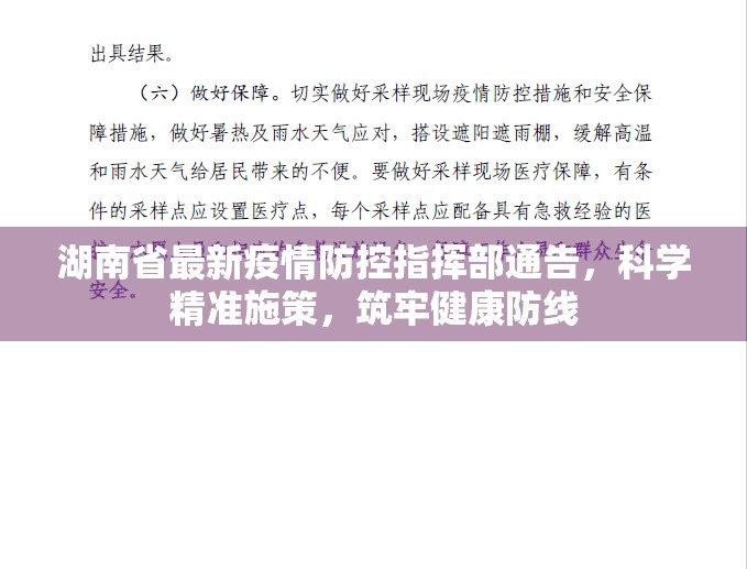 湖南省最新疫情防控指挥部通告，科学精准施策，筑牢健康防线