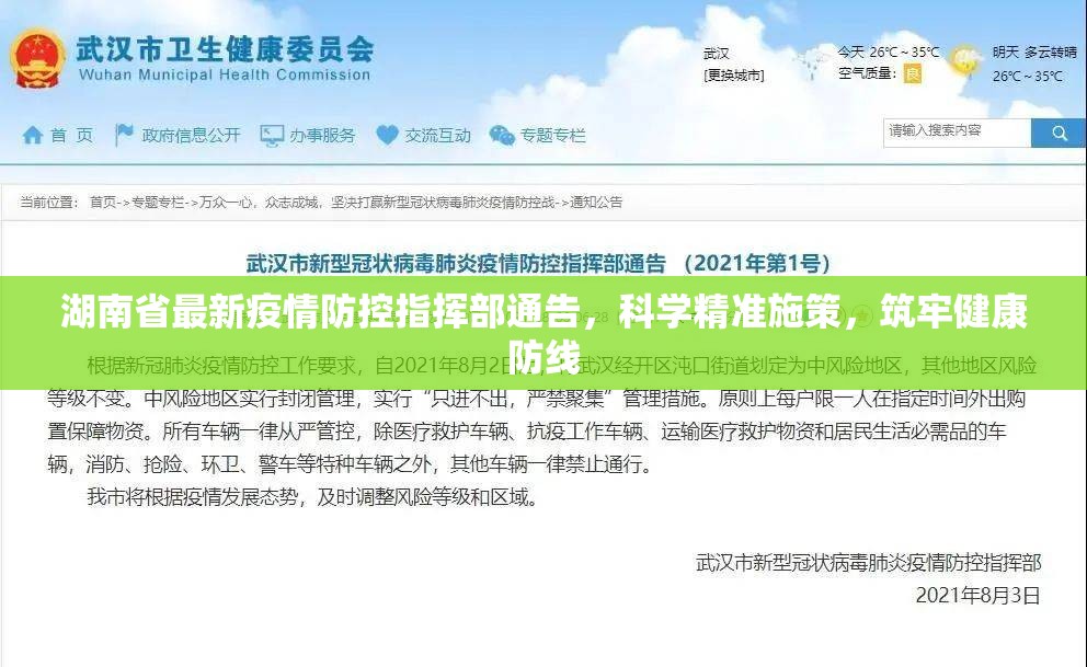 湖南省最新疫情防控指挥部通告，科学精准施策，筑牢健康防线