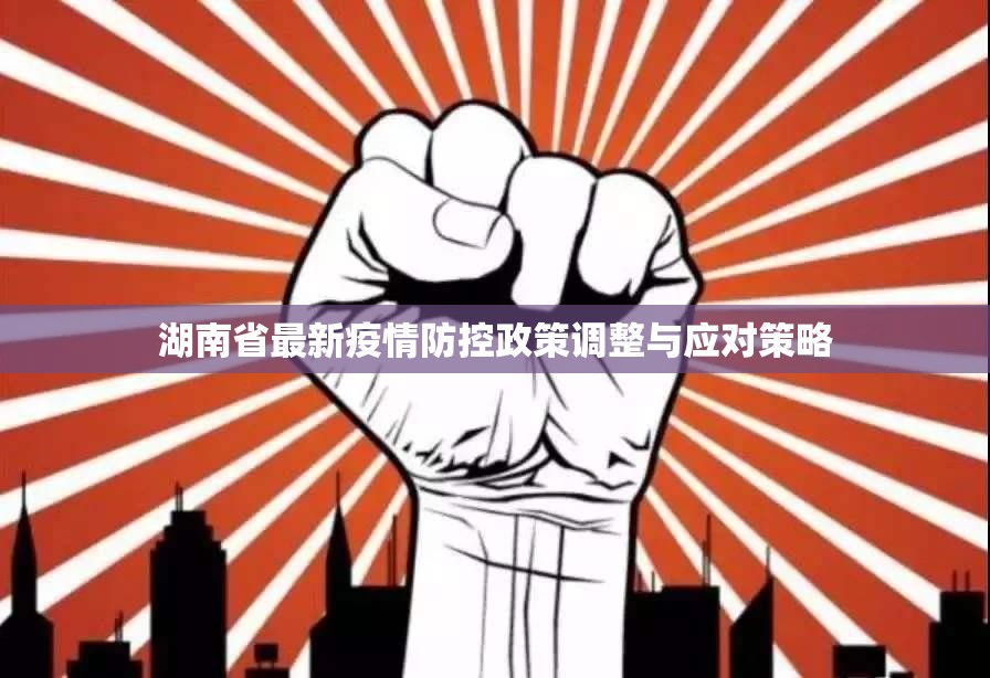 湖南省最新疫情防控政策调整与应对策略