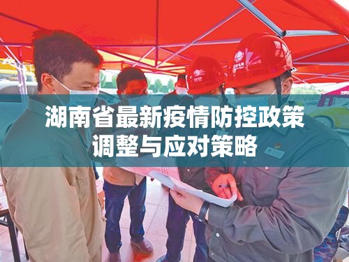 湖南省最新疫情防控政策调整与应对策略
