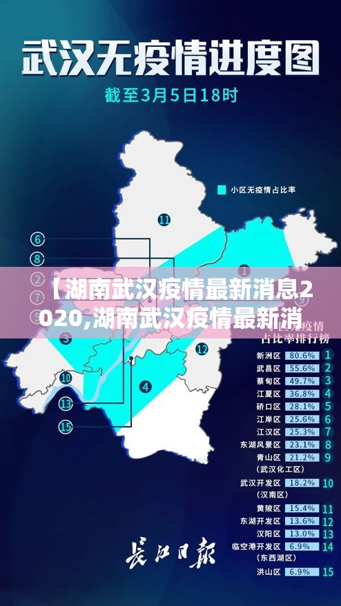 【湖南武汉疫情最新消息2020,湖南武汉疫情最新消息2020年】