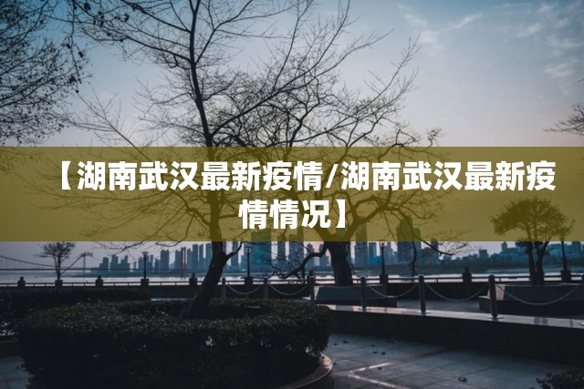 【湖南武汉最新疫情/湖南武汉最新疫情情况】
