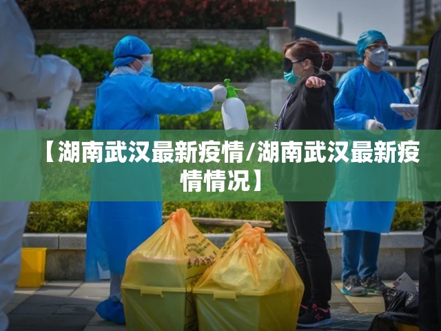 【湖南武汉最新疫情/湖南武汉最新疫情情况】