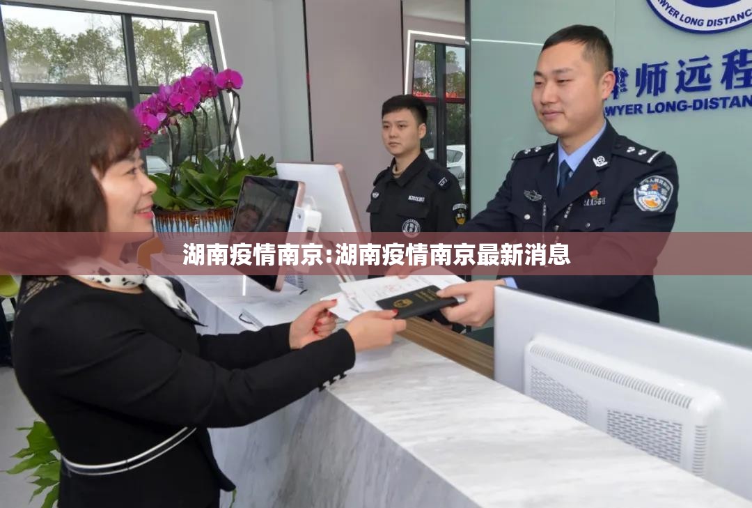 湖南疫情南京:湖南疫情南京最新消息