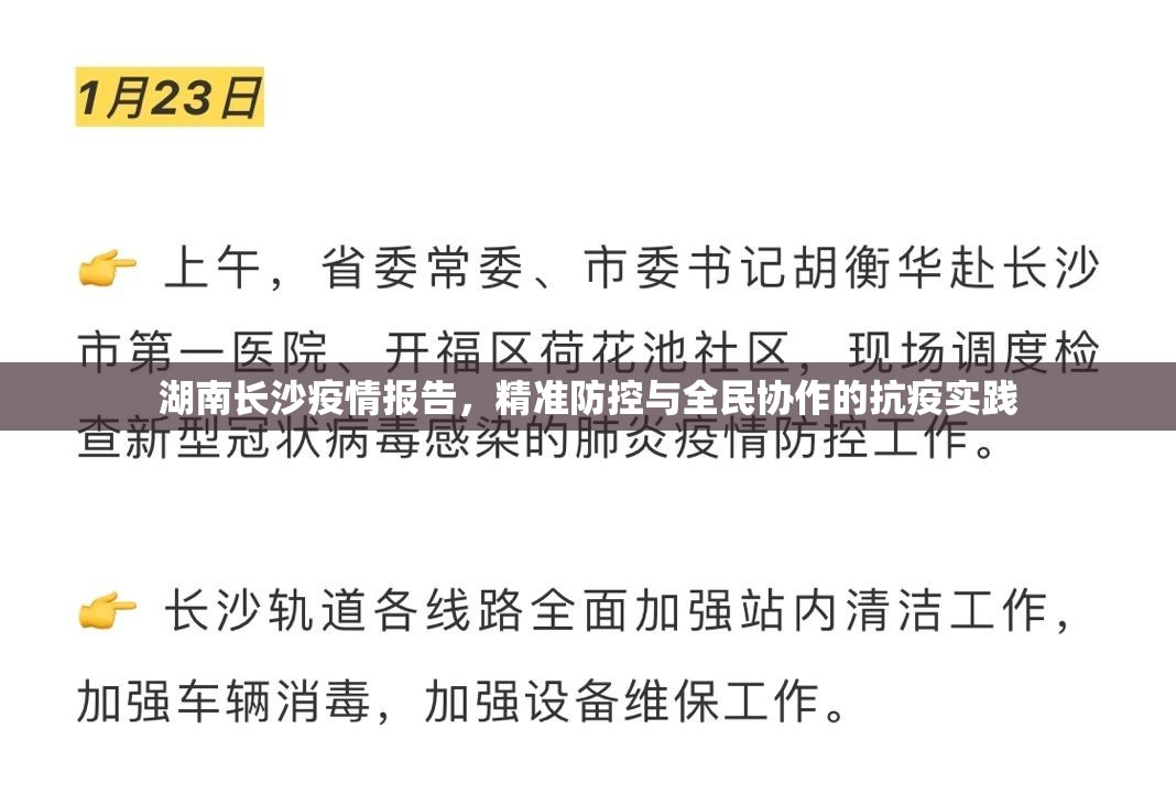 湖南长沙疫情报告，精准防控与全民协作的抗疫实践