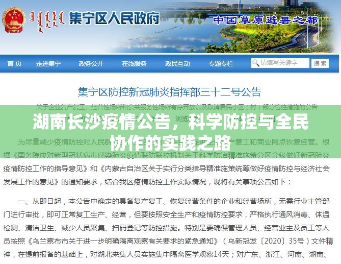 湖南长沙疫情公告，科学防控与全民协作的实践之路