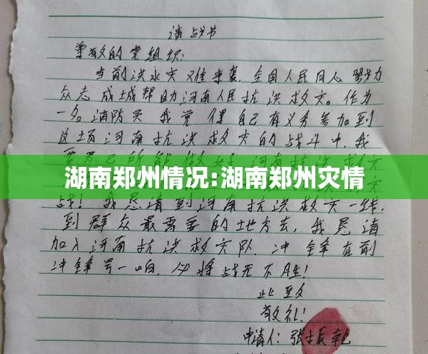 湖南郑州情况:湖南郑州灾情
