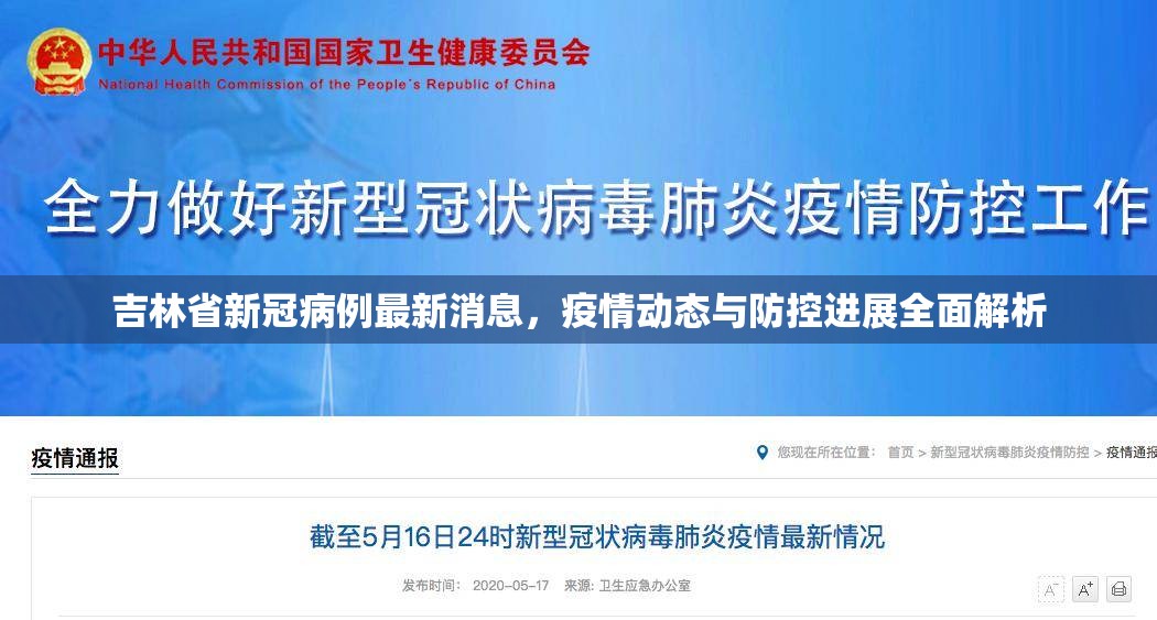 吉林省新冠病例最新消息，疫情动态与防控进展全面解析
