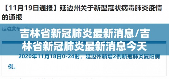 吉林省新冠肺炎最新消息/吉林省新冠肺炎最新消息今天