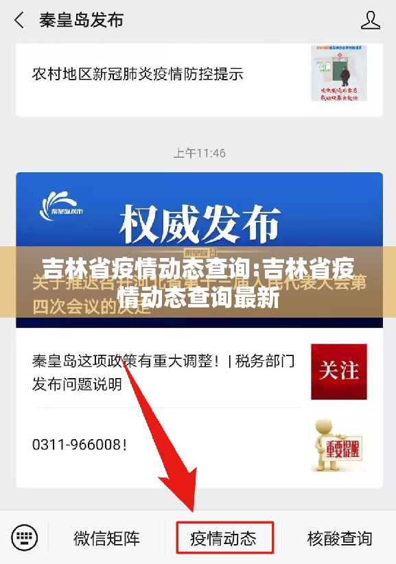 吉林省疫情动态查询:吉林省疫情动态查询最新