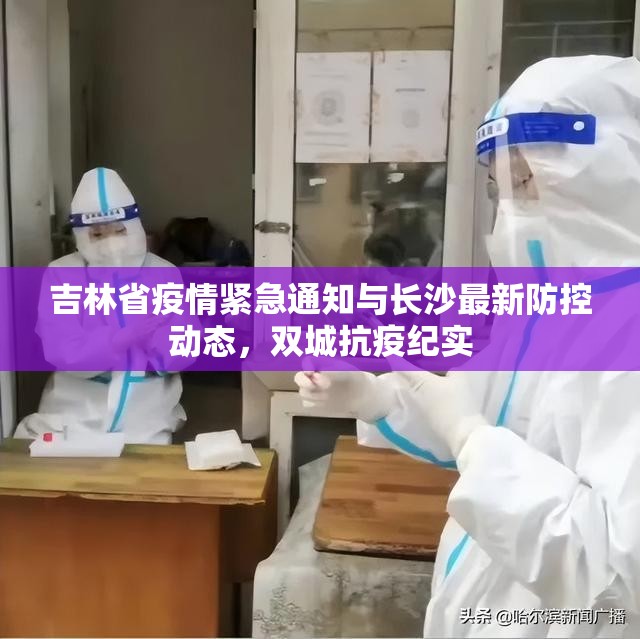 吉林省疫情紧急通知与长沙最新防控动态，双城抗疫纪实