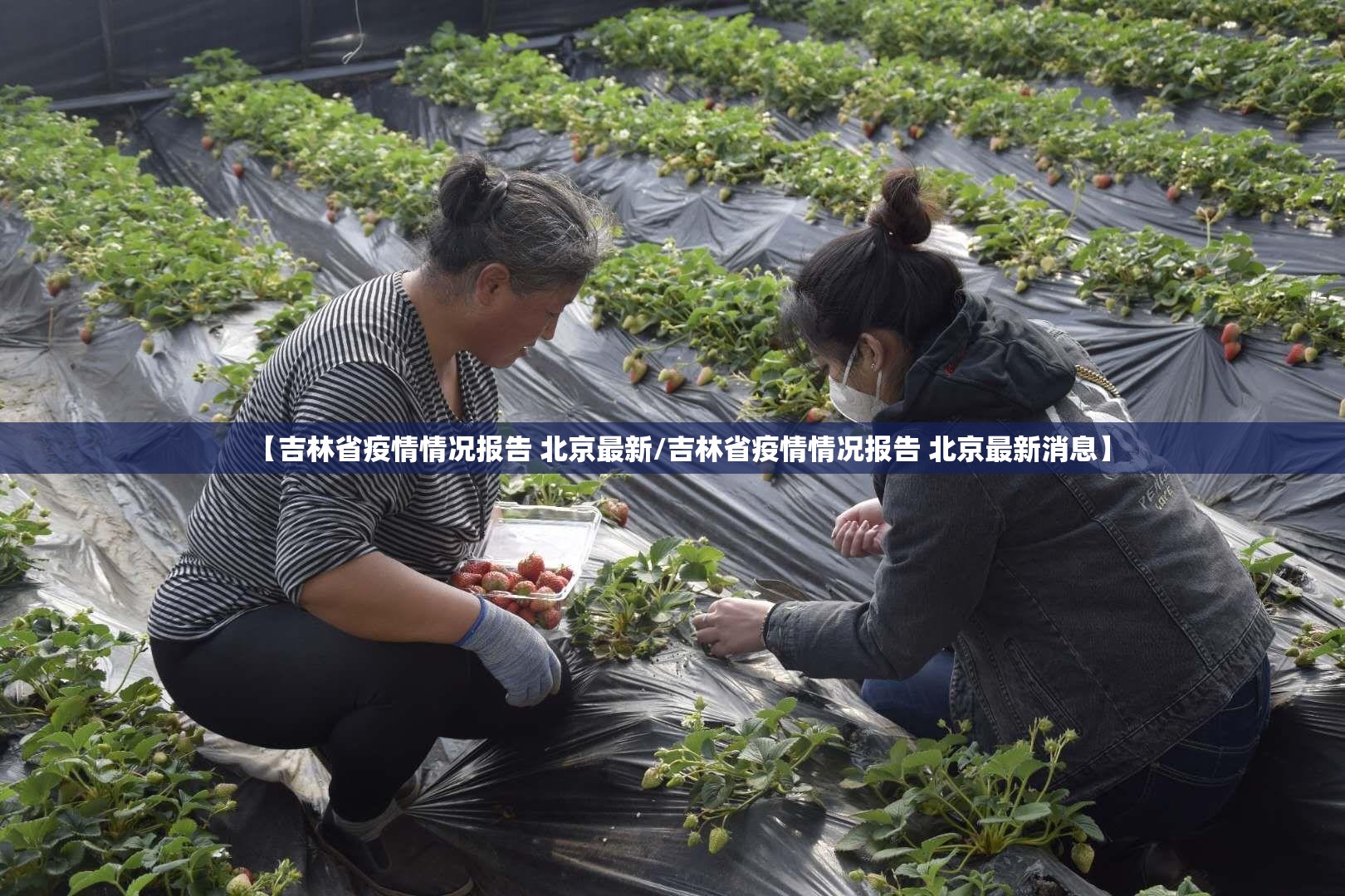【吉林省疫情情况报告 北京最新/吉林省疫情情况报告 北京最新消息】