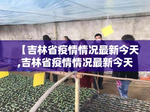 【吉林省疫情情况最新今天,吉林省疫情情况最新今天新增】