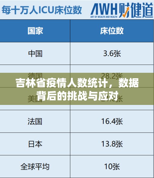 吉林省疫情人数统计，数据背后的挑战与应对