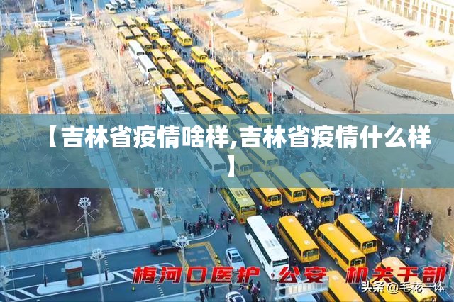 【吉林省疫情啥样,吉林省疫情什么样】