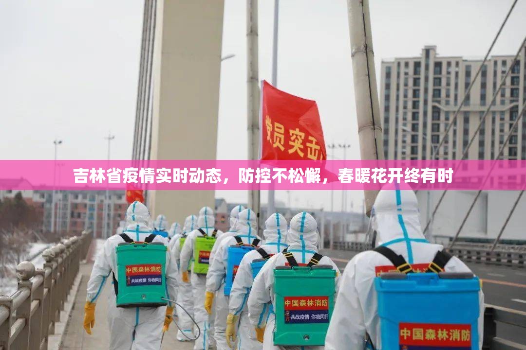 吉林省疫情实时动态，防控不松懈，春暖花开终有时