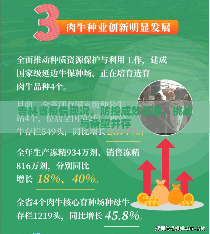 吉林省疫情现况，防控成效显著，挑战与希望并存