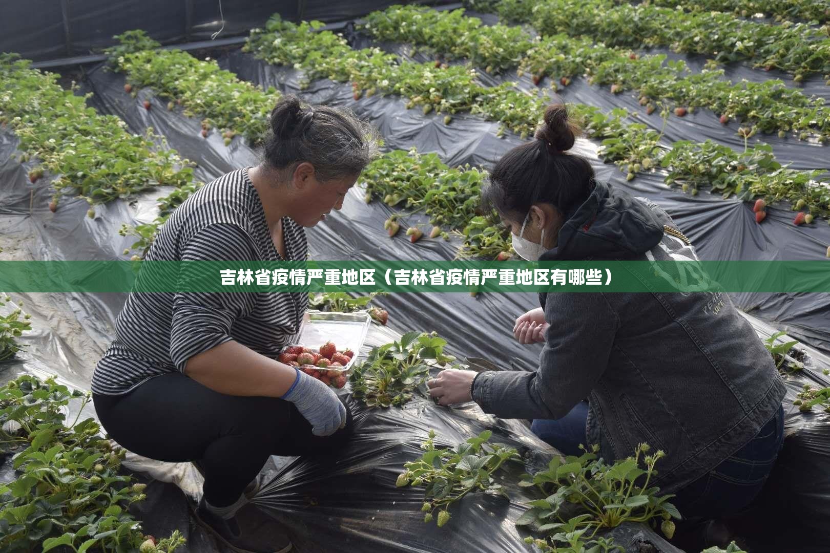 吉林省疫情严重地区（吉林省疫情严重地区有哪些）
