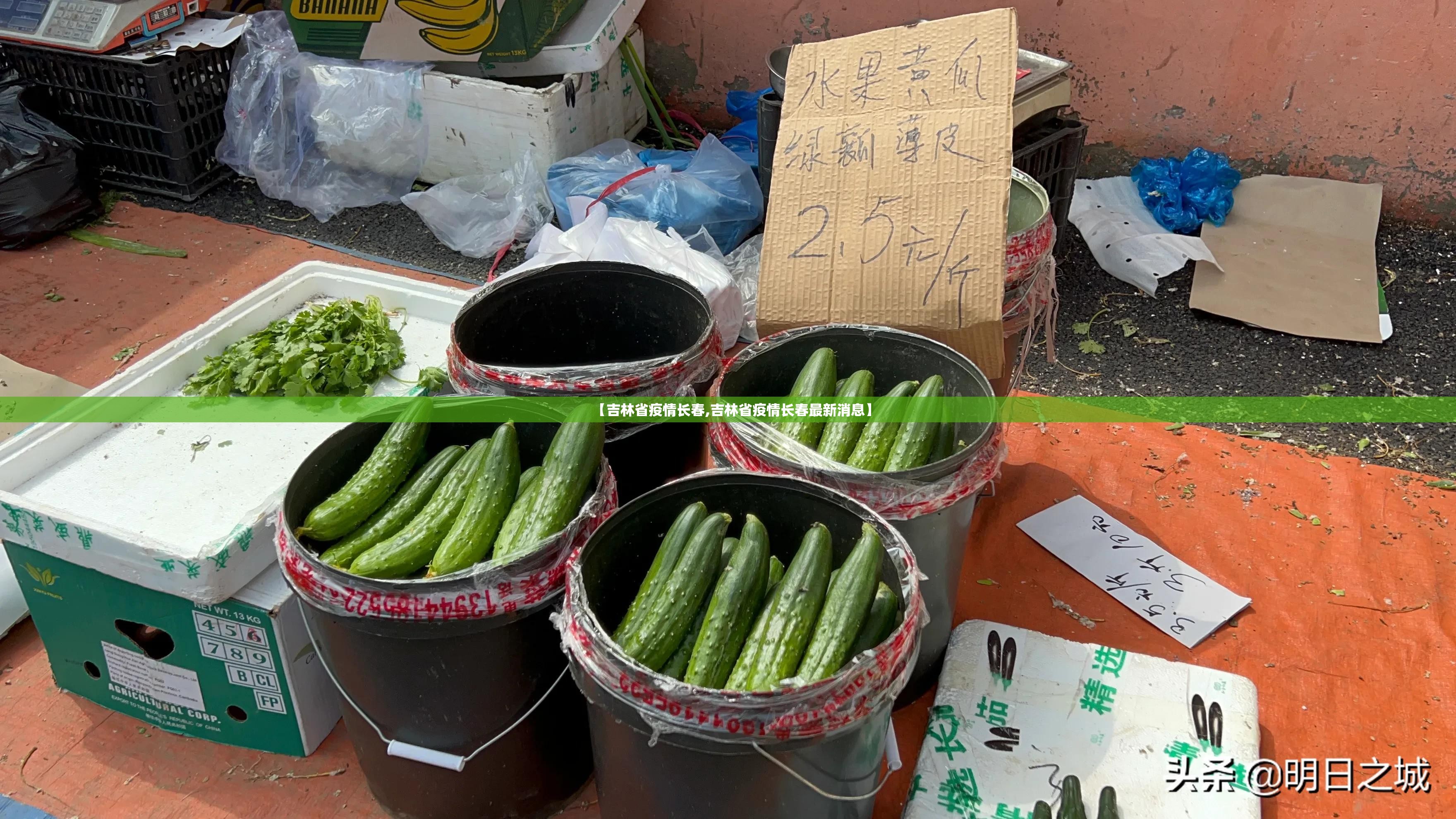 【吉林省疫情长春,吉林省疫情长春最新消息】