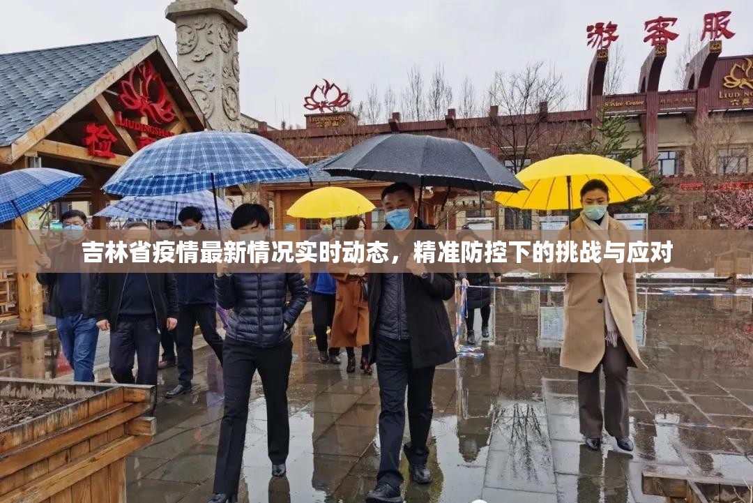 吉林省疫情最新情况实时动态，精准防控下的挑战与应对