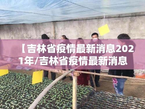 【吉林省疫情最新消息2021年/吉林省疫情最新消息2021年11月】