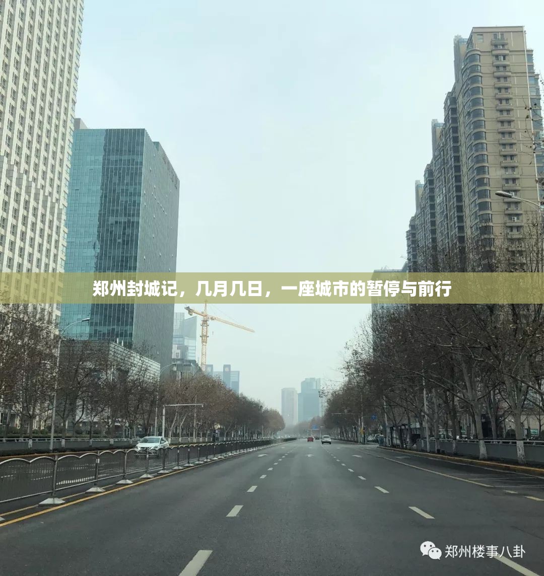 郑州封城记，几月几日，一座城市的暂停与前行