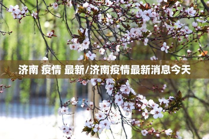 济南 疫情 最新/济南疫情最新消息今天