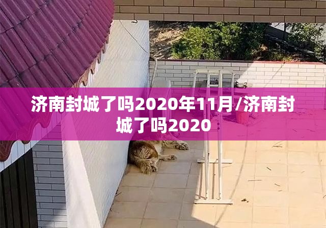济南封城了吗2020年11月/济南封城了吗2020